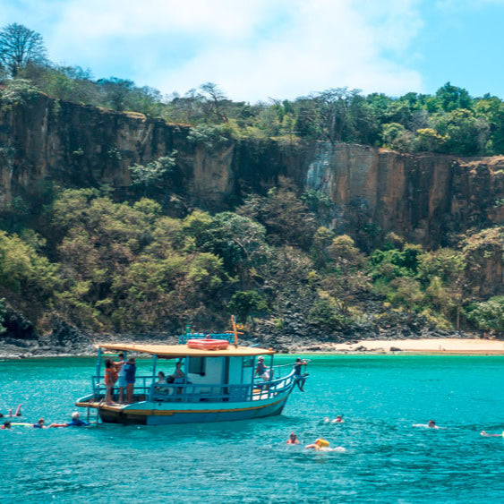 Passeio de barco para ver golfinhos